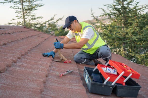 Roof Waterproofing Services in Mila Doce, TX